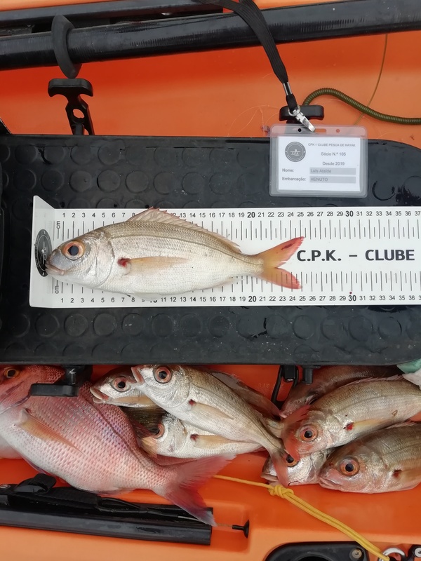 Fish Measure Picture